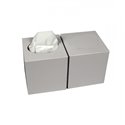 Facial Tissue 2 laags cellulose in cube - (Doos: 20 cubes à 80 stuks)