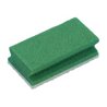 Spons met handgreep Groen/Wit 150x70x45 mm (10 stuks)
